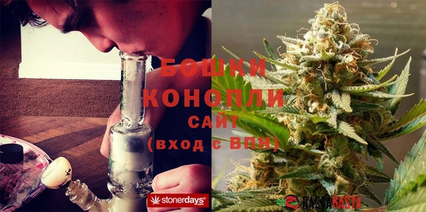 прущие грибы Слюдянка