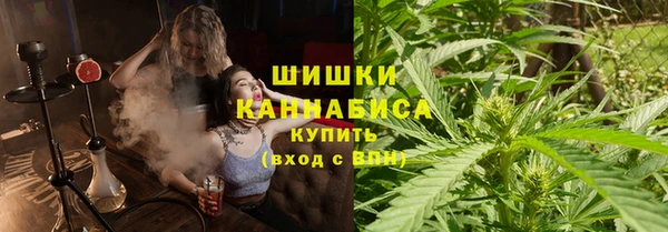прущие грибы Слюдянка