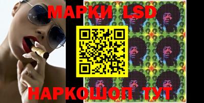 Альфа ПВП Кандалакша