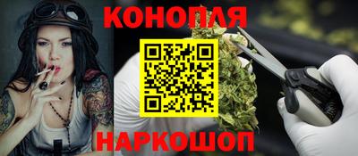 Альфа ПВП Кандалакша