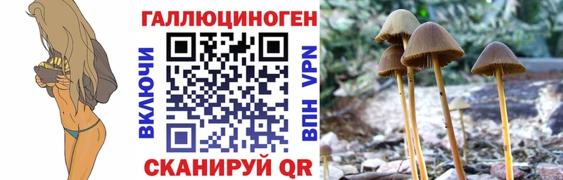 Галлюциногенные грибы MAGIC MUSHROOMS  Сердобск 