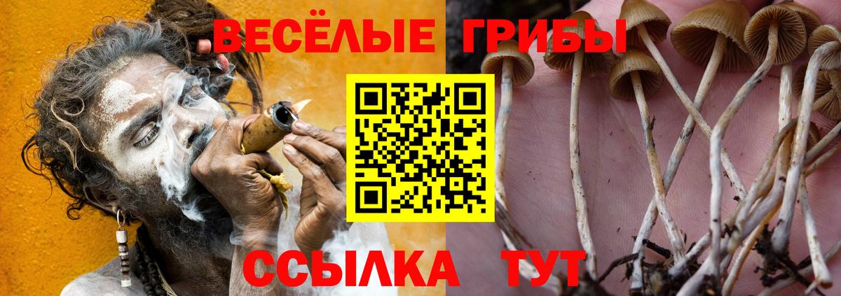 как найти закладки  Вход с VPN  Сердобск  Псилоцибиновые грибы мицелий  Галлюциногенные грибы MAGIC MUSHROOMS 