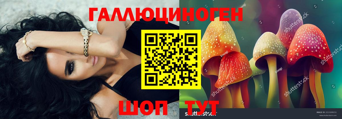 Псилоцибиновые грибы мицелий Сердобск