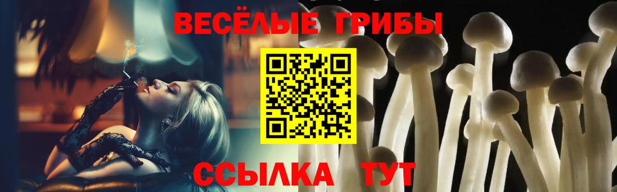 Галлюциногенные грибы Psilocybe  наркота  Псилоцибиновые грибы прущие грибы  Сердобск 